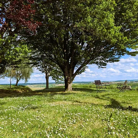 Holiday home Les Roses Tremieres *
